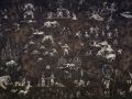 HD_Far_Cry_PRIMAL