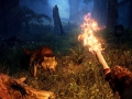 Tapeta Far Cry Primal