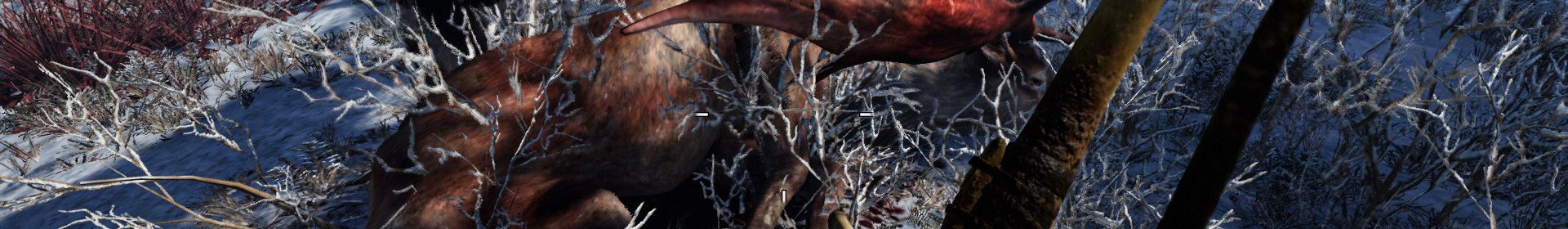 Far Cry Primal - Jak na vzácná zvířata